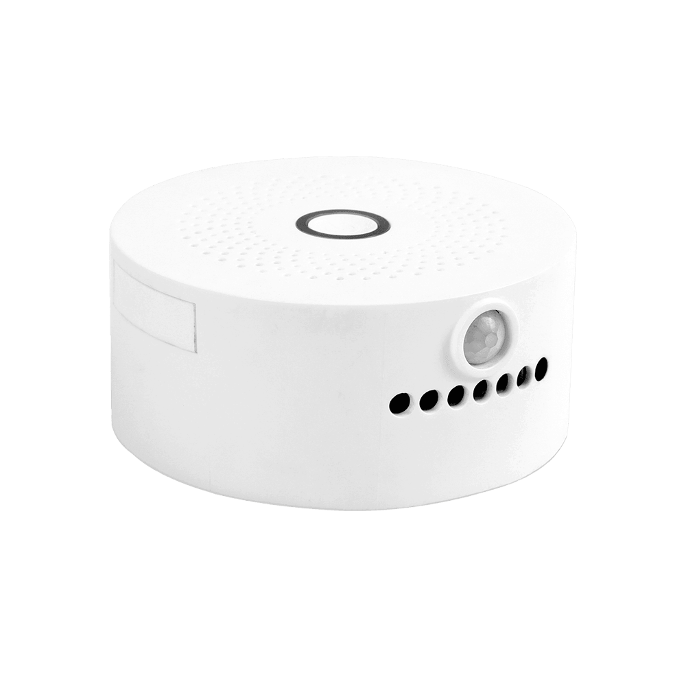 Smart Multi-Function Pet Purifier Deodorizer PA001