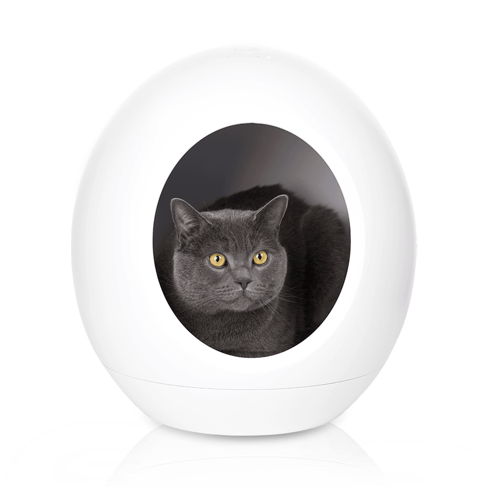 Smart Pet House CWW001